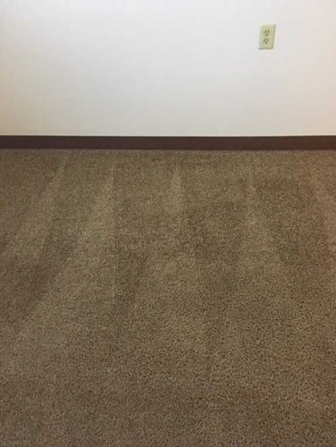 after image carpet cleaning in Tipton IN