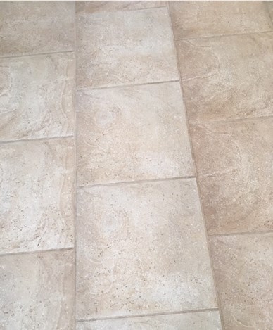 before and after tile cleaning results in tipton IN