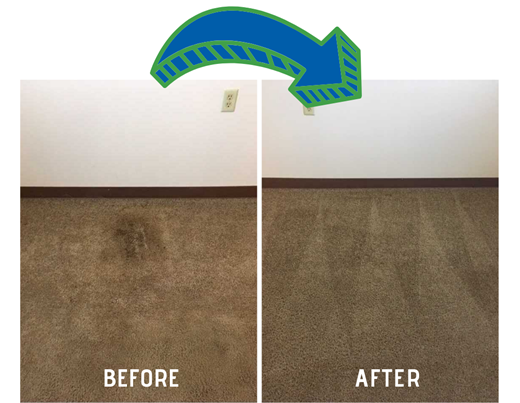 before and after carpet cleaning by Shirley's Chem-Dry in Tipton IN