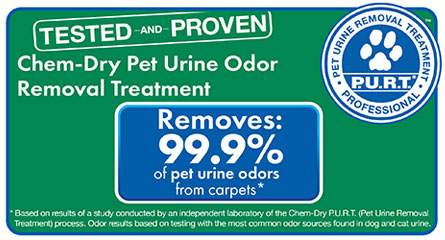 Shirley's Chem-Dry removes 99.9% of pet urine odors from carpets and 99.2% of bacteria from pet urine in carpets in Kokomo IN